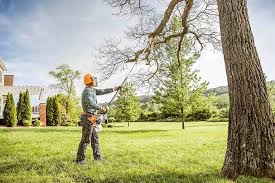 Best Commercial Tree Services  in West Point, KY