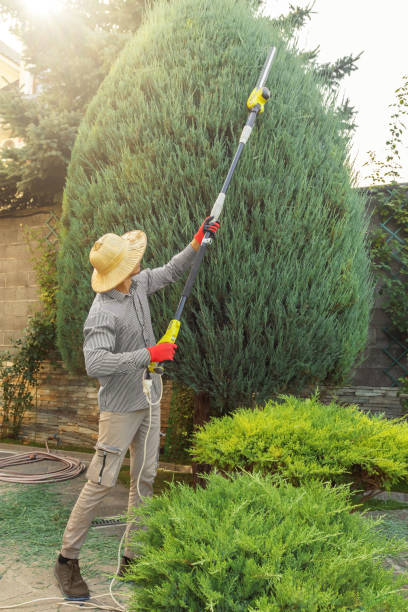 Best Lawn Drainage Solutions  in West Point, KY